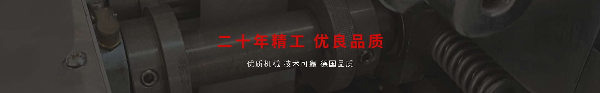 C19DF 全自动挂耳咖啡包装机（螺杆下料）-乐发IV